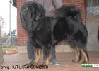 Hutuktu Sundari 2